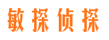 赣榆市调查公司